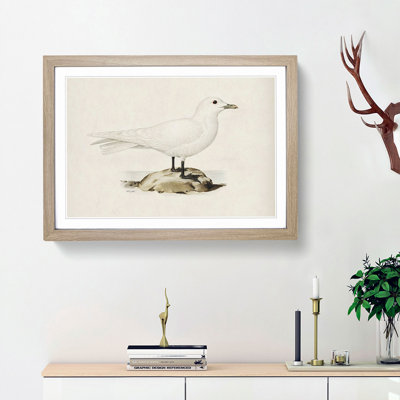 Ivory Gull by Von Wright - Picture Frame Painting Print