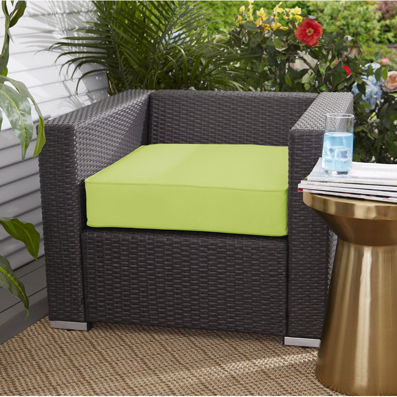 Carolena Outdoor Sunbrella Dining Chair Cushion, 5" H x 22.5" W x 22.5" D, Sunbrella - Canvas Macaw