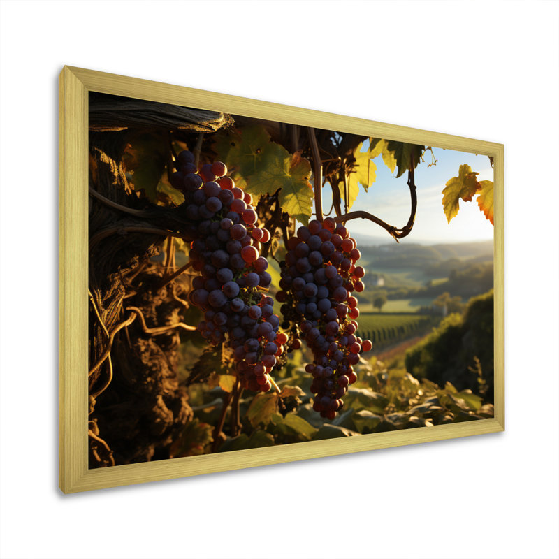Raisins mauves, attrape-rêves sur toile, H 30 po x l 40 po x P 1,5 po, Cadre photo doré simple