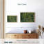 Arbres et sous-bois-171497533-171497534