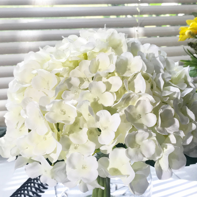 Hydrangea Arrangement in Vase, Cream