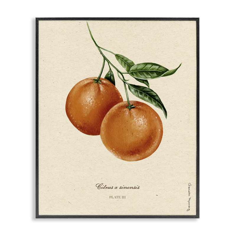 «Orange Fruit Portrait», estampe numérique, design par Danielle Murray, Giclée encadrée noir minuit, H 30 po x l 24 po