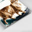 Cats Somali, art mural sur toile blanche-1795528310