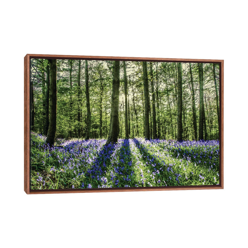«Bluebell Wood», reproduction, H 26 po x l 40 po x 1,5 po, Toile avec cadre en bois classique