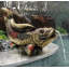 Showa Asian Koi Spitter Piped Statue