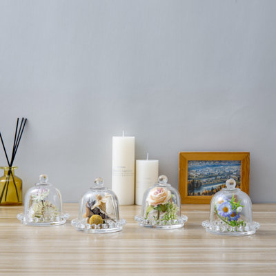 4 Pieces Cloche Clear Glass Decorative Bottles Set