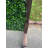 Cailey Foliage Wall Panel Privacy Screen