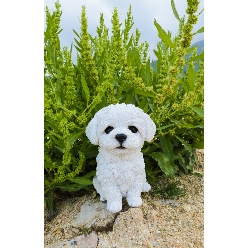 Statue chiot maltais