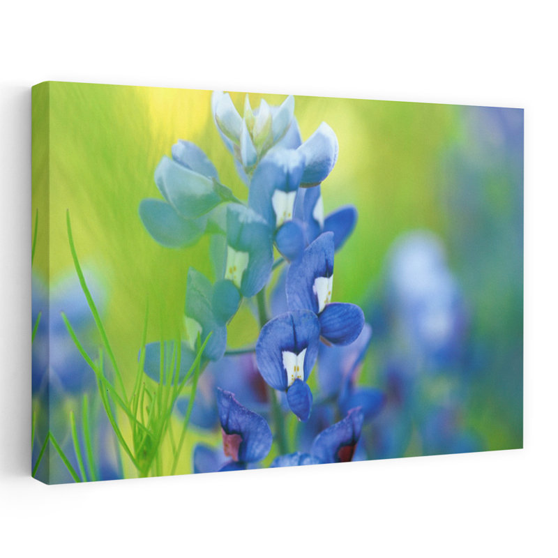 Bonnets en bleu délicat, art floral contemporain, H 40 po x l 60 po