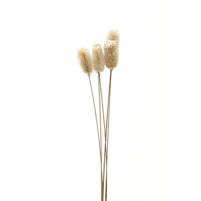 Thistle Arrangement