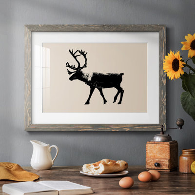 " Wild Ambler II "