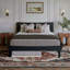 Phoenix Wood Platform Bed with Trundle-223210848-223210855