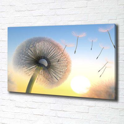 Dandelion - Wrapped Canvas Print