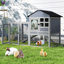 Small Animal Playpen