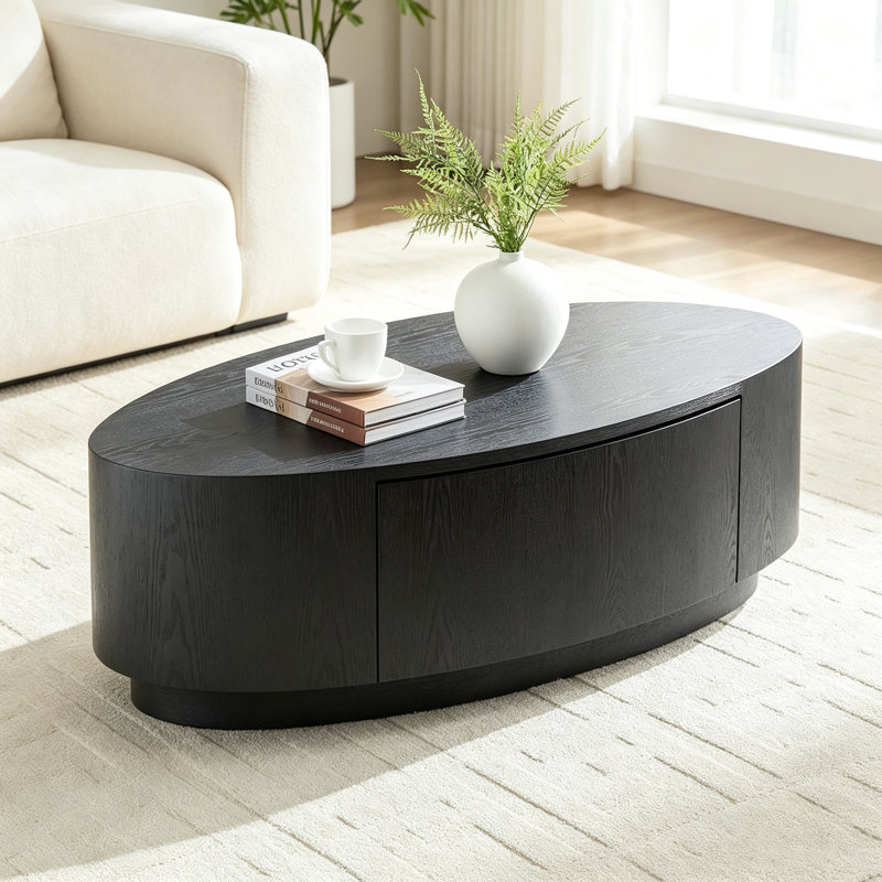 Table basse ovale moderne luxueuse avec tiroir de rangement, fini noir mat, aucun assemblage requis