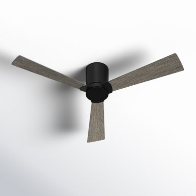 Salma Ceiling Fan