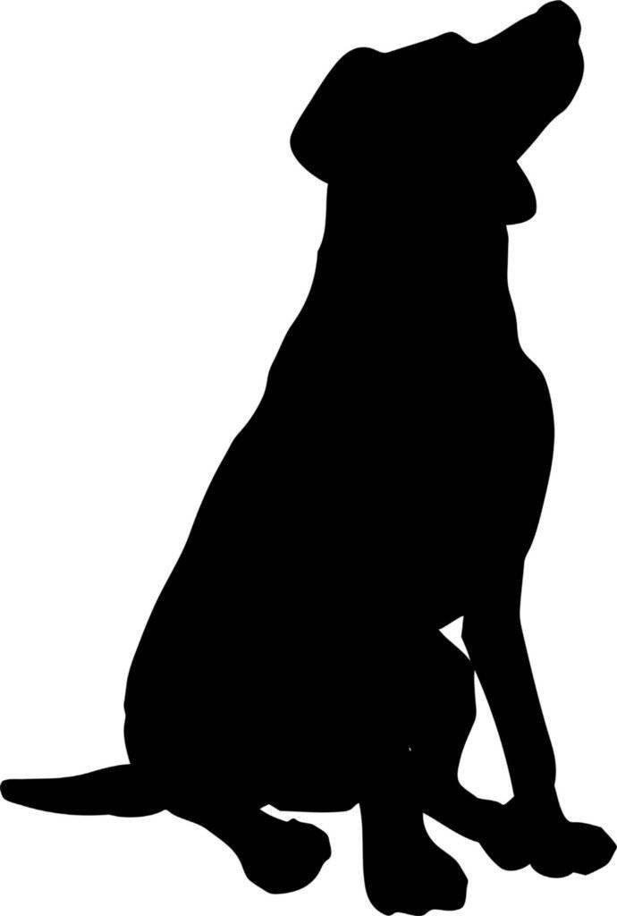 Animals Non-Wall Damaging Wall Decal Winston Porter