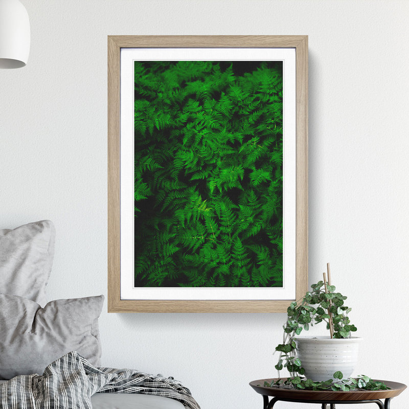 Fern Leaves Vol.3 - Framed Print, 36cm H x 27cm W x 2cm D, Oak Framed