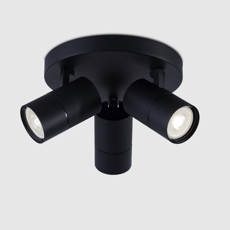 Auralia Spotlight, Black