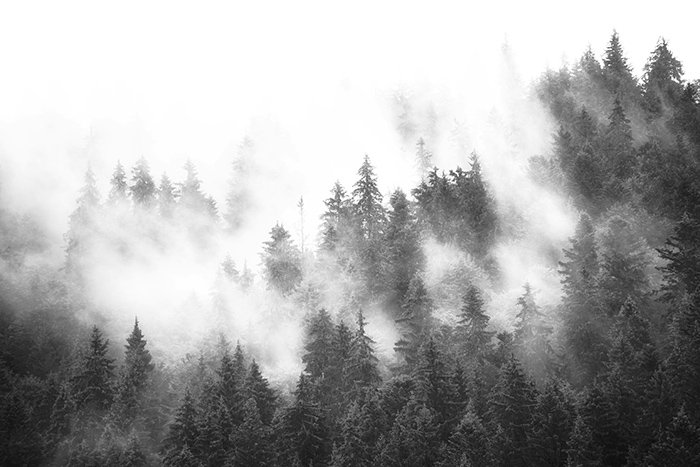Thelen Wallpaper, 416 x 254cm