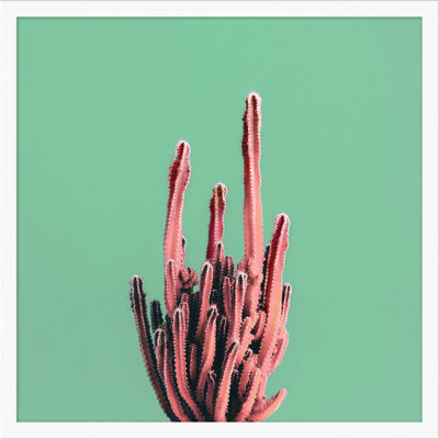 Sherbet Cactus 4 Print by Christopher Kennedy