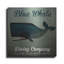 «Barnacle Whale Diving Co» par Ryan Fowler-1533726798