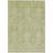 Machine Washable Indoor/Outdoor Claudian ACN1659 Aloe Rug-104366750