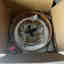 Customer photo 4 of 4