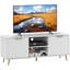 TV Stand with 2 Open Shelves and 2 Cabinets for 55 Inch TV, White