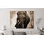 Healing Embrace by Marc Moreau - Wrapped Canvas Print-1397968541