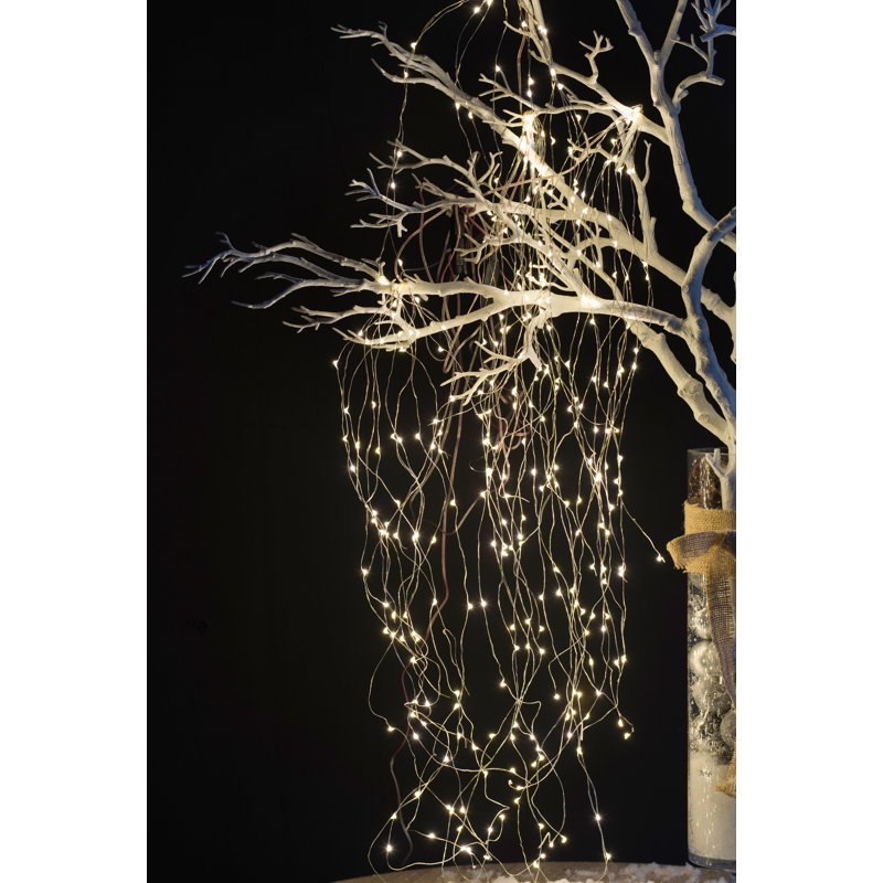 Guirlande de 150 lumières Dylan 5 pi.