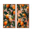 Orange, orange, orange, arbres I - fruits, ensemble de 2 pièces d'art mural-1602108499-1602108511-1602108520