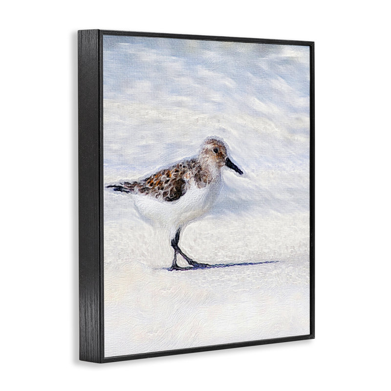 «Blue Coast Sandpiper», art de la giclée encadrée, conception par Denise Brown, Noir, 30" H x 24" W