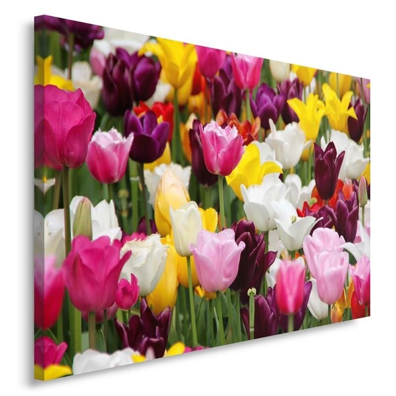 Leinwandbild Tulpen 4