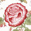 Tissu Josephine-55967410