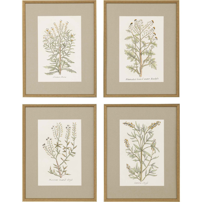 Plantes botaniques S / 4