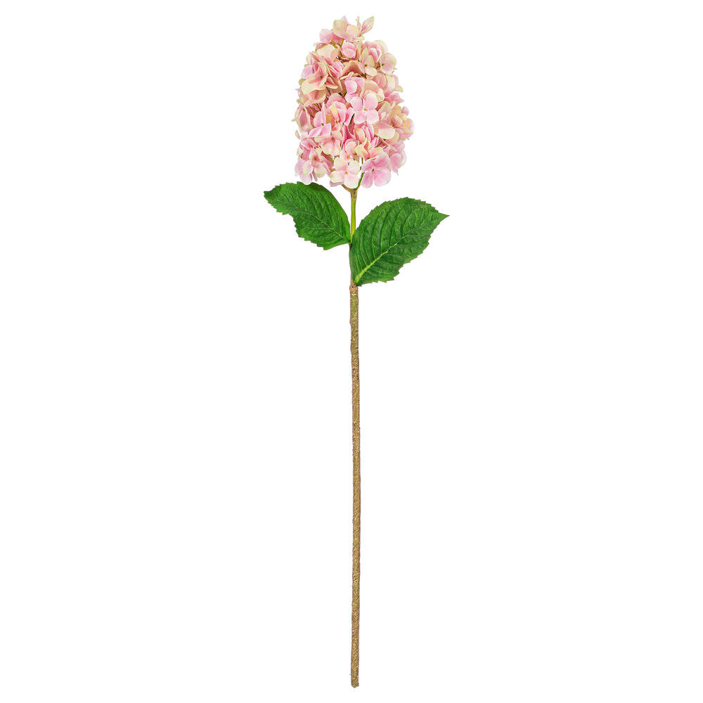Lavender Floral Stems, Pink
