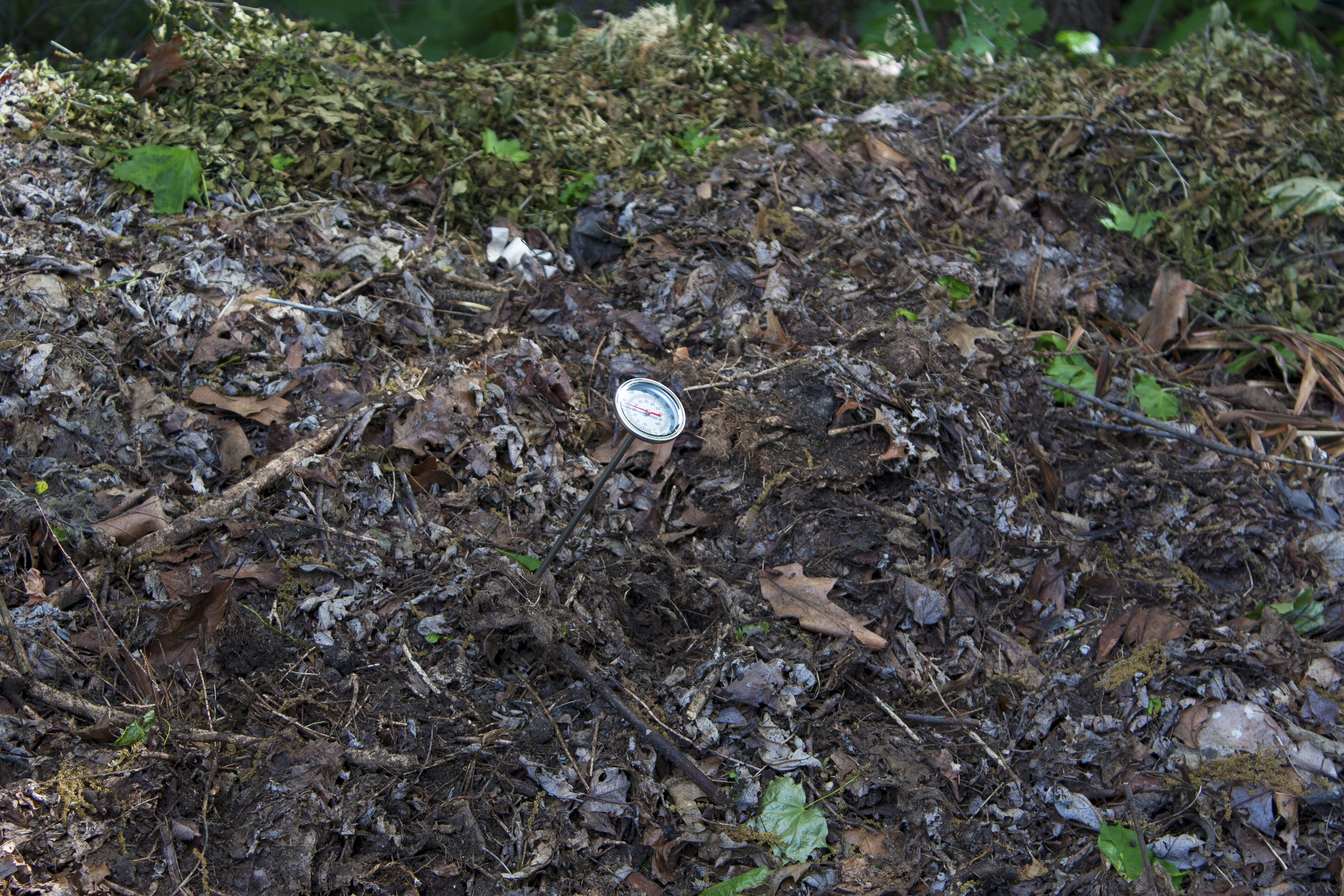 Soil and Compost Thermometer