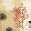 Coral Impressions II par Tandi Venter - Giclée sur toile tendue avec châssis-73150641-73150639-73150640
