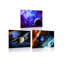 3 Piece Wrapped Canvas Set
