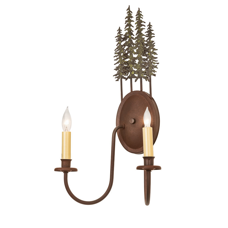 Shayvon Steel Armed Sconce