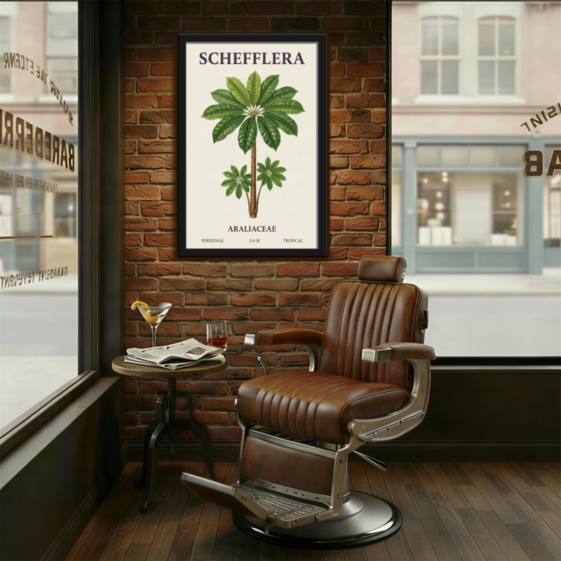 Plantes et fleurs, plante Schefflera, reproduction d'art botanique, H 36 po x l 24 po
