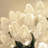 C7 Christmas 25-Light LED String Light-60436109