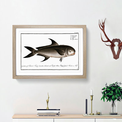 Black Mackerel Fish by M.E. Bloch - Picture Frame Graphic Art Print