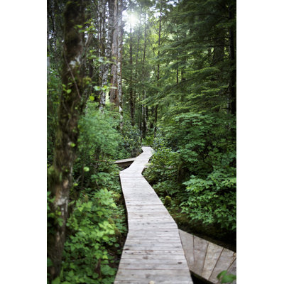 Walkway Through Forest by Ryan Mcvay