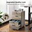 Brandice 15.7'' Wide 2 -Drawer Mobile File Cabinet
