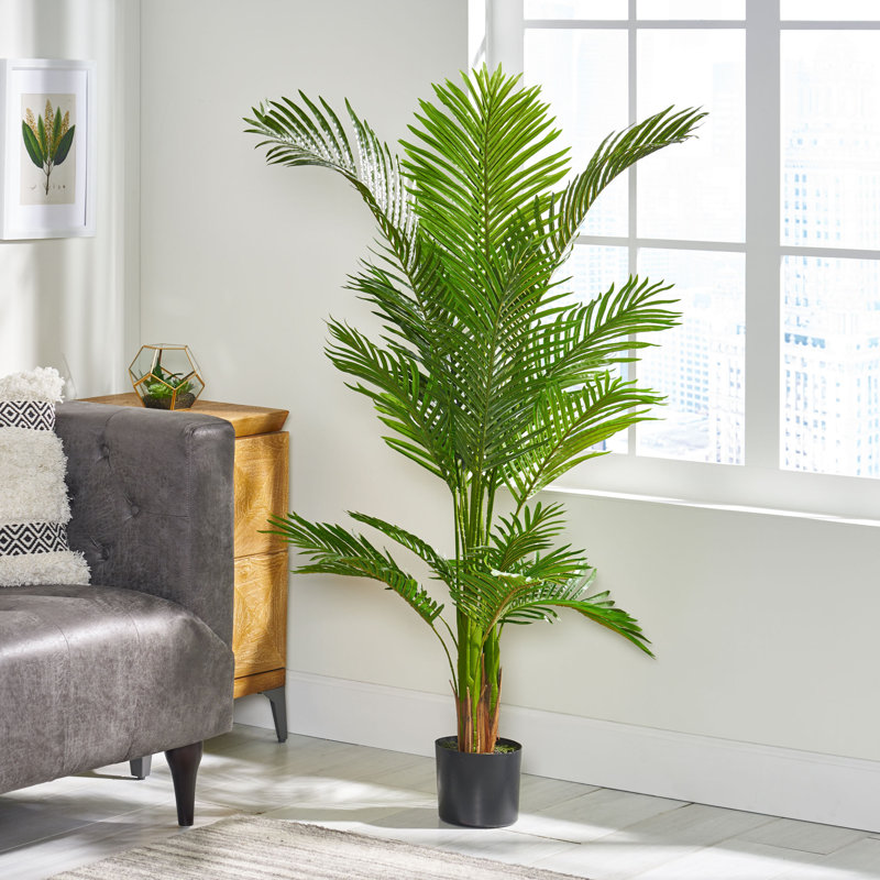 Faux Palm Tree in Plastic / Acrylic Pot, 59" H x 31" W x 31" D
