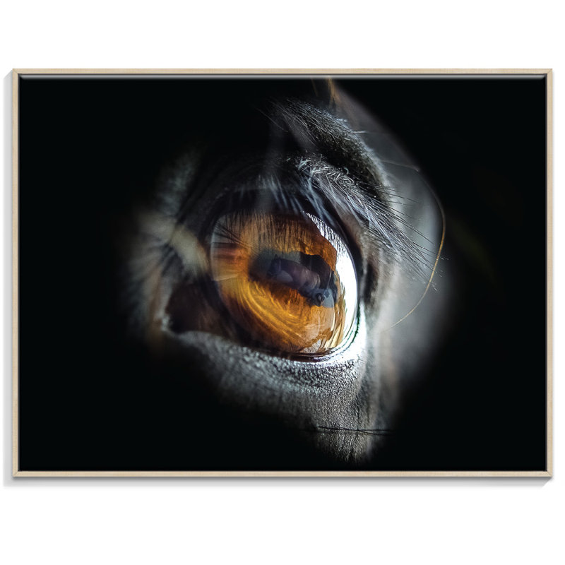 Print on Canvas, Timber, 41cm H x 51cm W