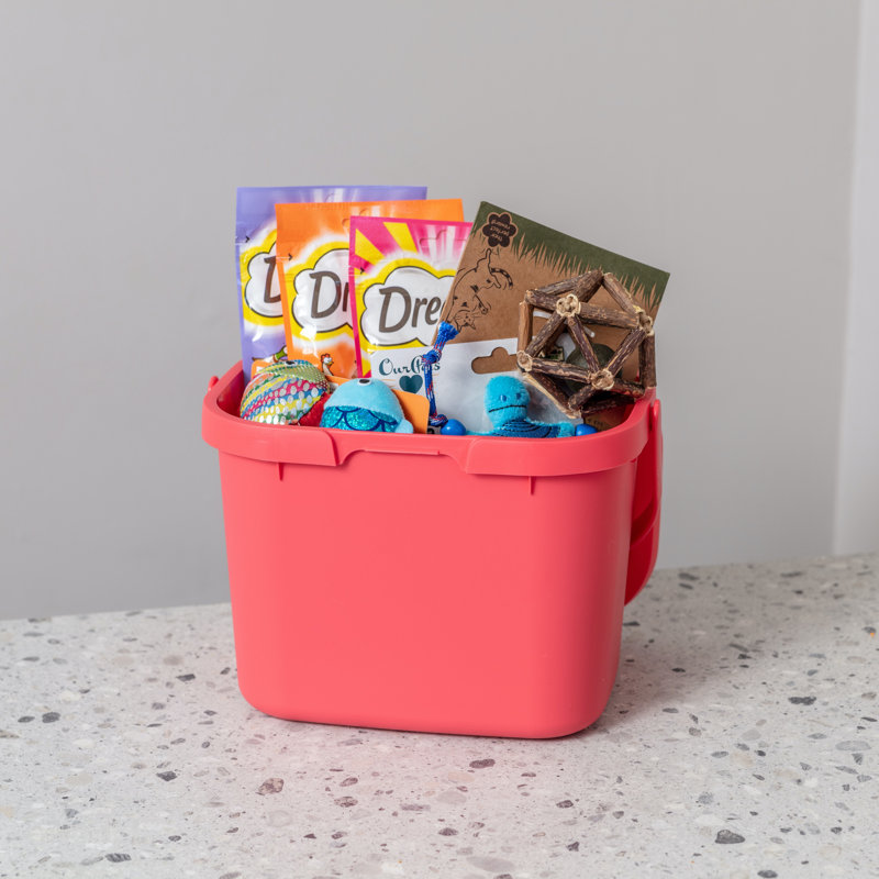 Plastic Manual Lift Waste Bin - 4.5L, Blush/Pomegranate/Metallic