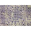 Area Rug-64646162